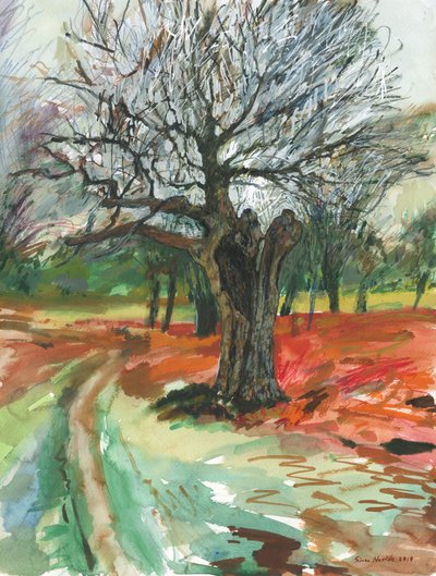 Vieil arbre, Richmond Park, 2019 - Simon Neville
