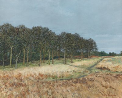 Bois, parc de Richmond, 2019 (huile sur toile) - Simon Neville