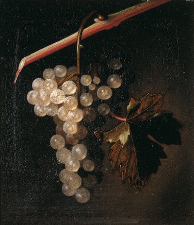 Une grappe de raisins suspendue devant un mur de pierre, 1709 - Simon Peeterz Verelst