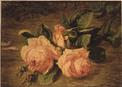 Roses roses - Simon Saint Jean