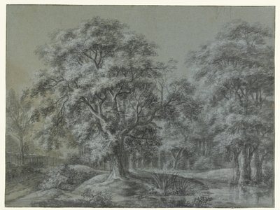 Paysage forestier avec de l