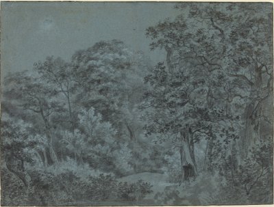 Dans les bois de La Haye - Simon de Vlieger