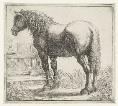 Cheval de trait près d