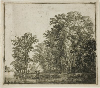 Bois près d