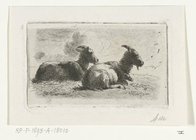 Deux chèvres couchées - Simon van den Berg