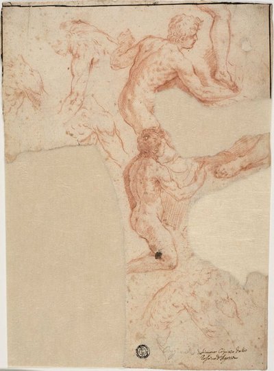 Croquis de nus masculins, jambes (recto) ; Croquis de nus masculins (verso) - Simone Cantarini
