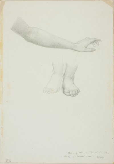 Bras et pieds, étude pour Miroir de Vénus - Sir Edward Burne Jones