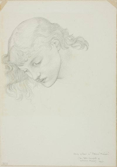 Tête, étude pour Miroir de Vénus - Sir Edward Burne Jones