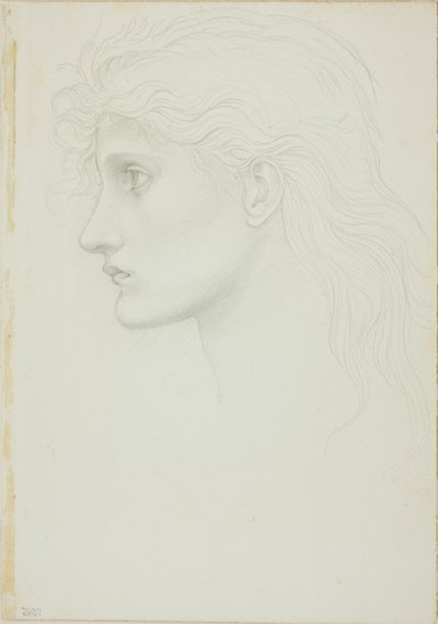 Tête de fille tournée vers la gauche - Sir Edward Burne Jones
