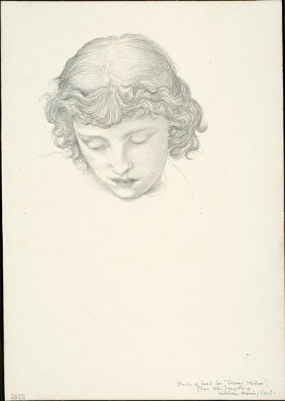 Étude pour Miroir de Vénus : Tête - Sir Edward Burne Jones
