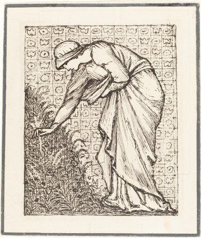 Dame cueillant des fleurs - Sir Edward Coley Burne Jones