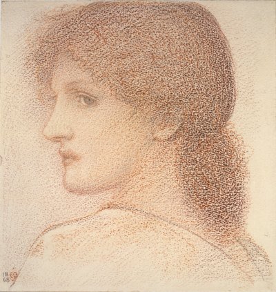 Étude de la Tête d