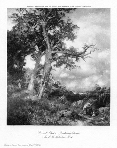 Chênes forestiers, Fontainebleau, 1908 - Sir Ernest Albert Waterlow