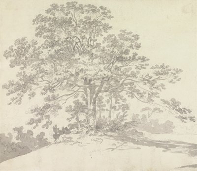 Arbre - Sir George Howland Beaumont seventh Baronet