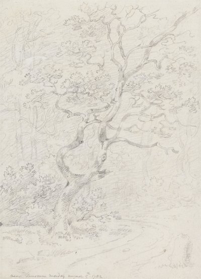 Arbres, près de Lausanne - Sir George Howland Beaumont seventh Baronet