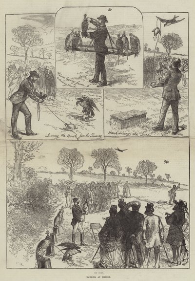 Chasse au faucon à Hendon - Sir John Charles Robinson