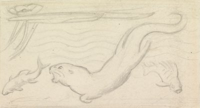 Étude de vitrail, une loutre et deux poissons - Sir John Everett Millais