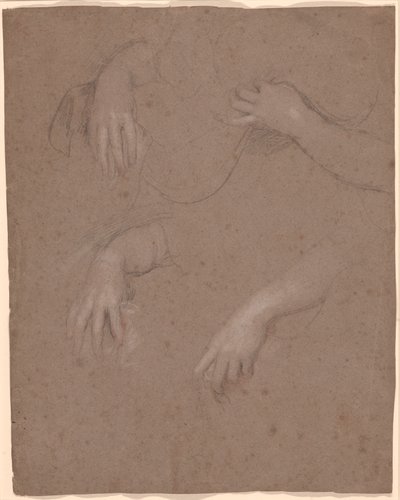 Dessins de mains - Sir Peter Lely