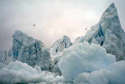 Icebergs dans la mer arctique autour de l