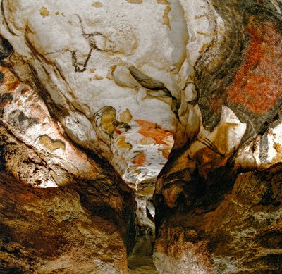 La Galerie Axiale montre des aurochs éteints sur le plafond de la grotte de Lascaux, France - Sisse Brimberg