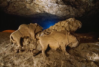 Les Bisons d