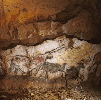 La Licorne Mythique de Lascaux peinte il y a plus de 17 000 ans sur la calcite blanche. - Sisse Brimberg