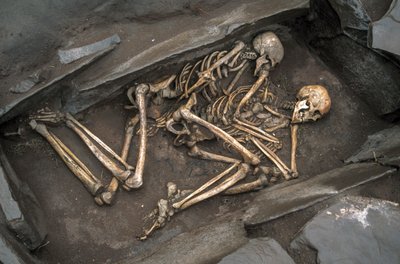 Les os de deux Scythes reposent dans une tombe vieille de 3000 ans à Arzhan-2 - Sisse Brimberg