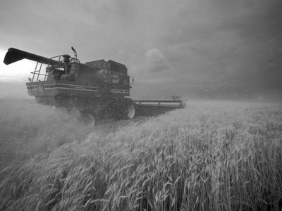 États-Unis, Kansas : Blé du Kansas récolté au crépuscule pendant l