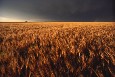 États-Unis, Kansas, une tempête d