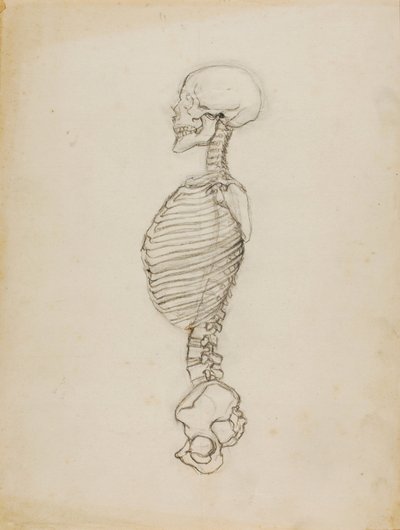 Anatomie - Solon H. Borglum