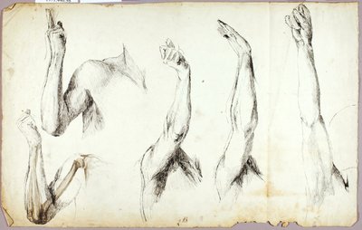 Études sur les bras, n° 2 - Solon H. Borglum