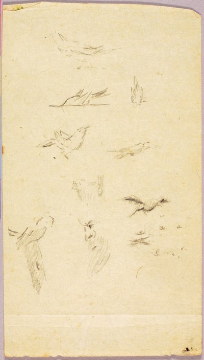 Oiseaux - Solon H. Borglum