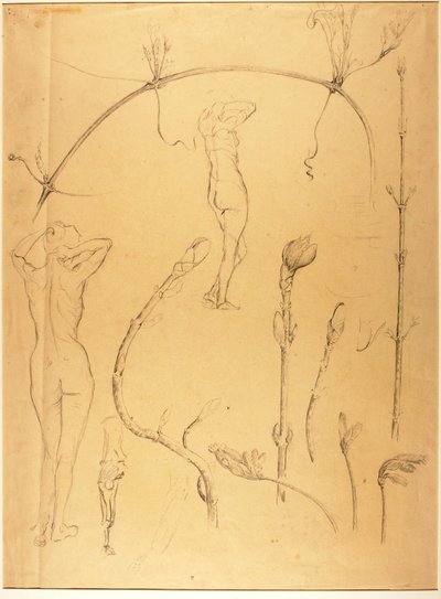 Branche et étude de nu - Solon H. Borglum