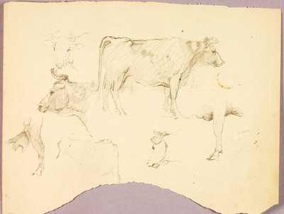 Taureaux - Solon H. Borglum