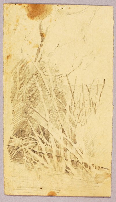 Foliage - Solon H. Borglum