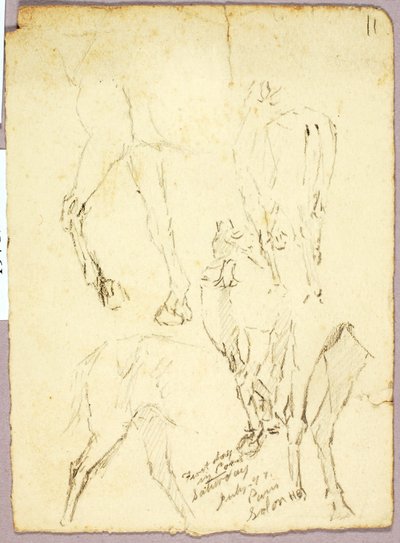 Chevaux - Solon H. Borglum