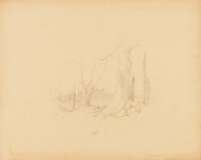 Paysage - Solon H. Borglum