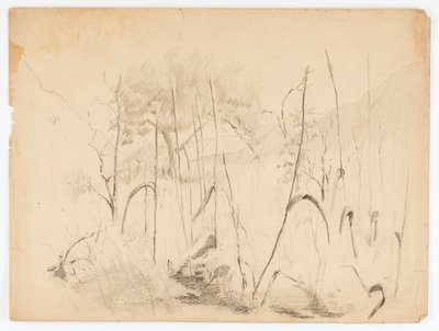 Paysage - Solon H. Borglum