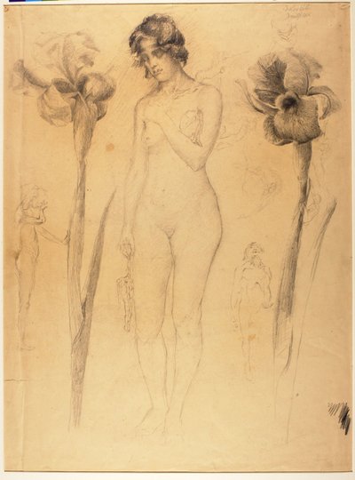 Nu et iris - Solon H. Borglum