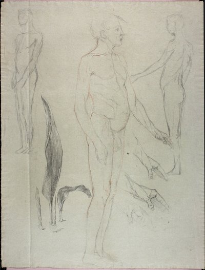 Nus et feuilles - Solon H. Borglum