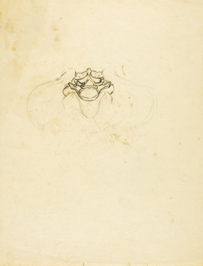 Bassin - Solon H. Borglum
