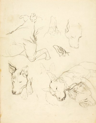 Sleeping Dogs - Solon H. Borglum