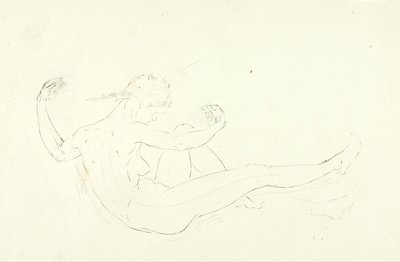 Nager nu - Solon H. Borglum