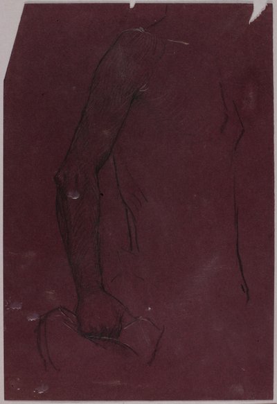 Torse, étude pour le monument équestre - Solon H. Borglum