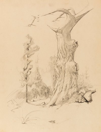 Sans titre - Solon H. Borglum