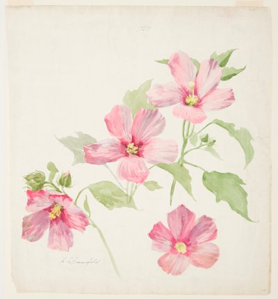 Étude de mauve - Sophia L. Crownfield