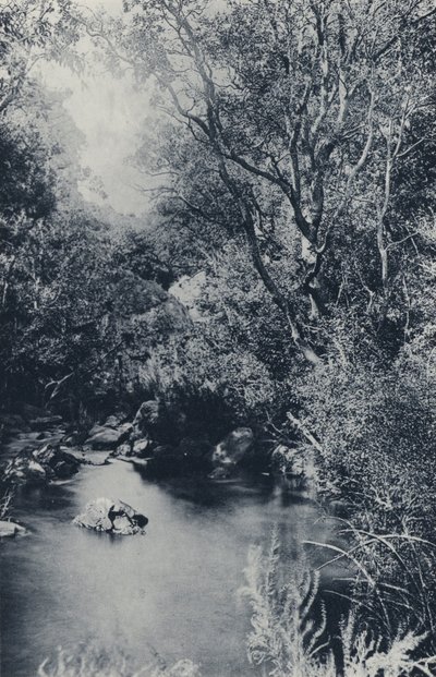 Une scène féerique, près de Witpoortje - South African Photographer