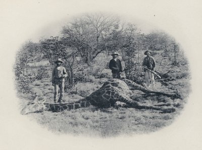 Chasse au gros gibier dans le Transvaal - South African Photographer