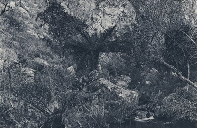 Dans le Witpoortje Kloof - South African Photographer