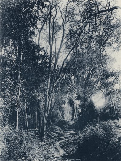 Scène dans le district de Lydenburg - South African Photographer